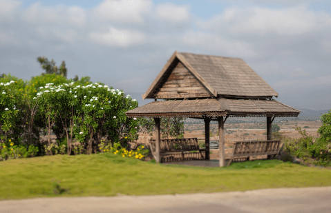 Yoga & Meditation at 86 Banyan Tree